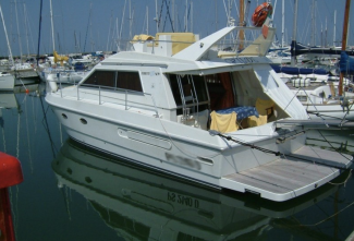 Ferrety Altura 36