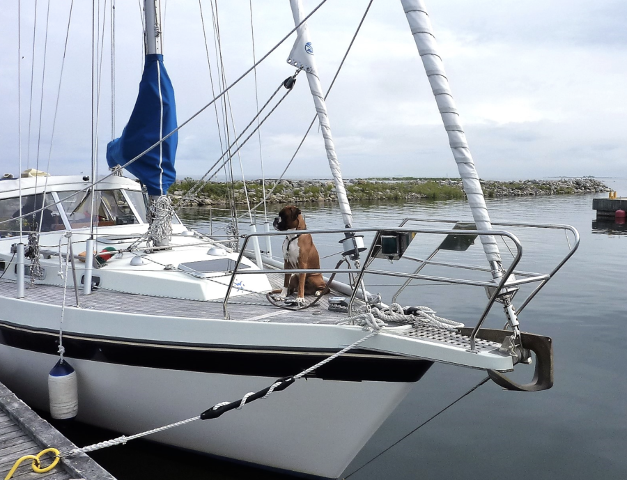 Finnsailer 34 брашпит